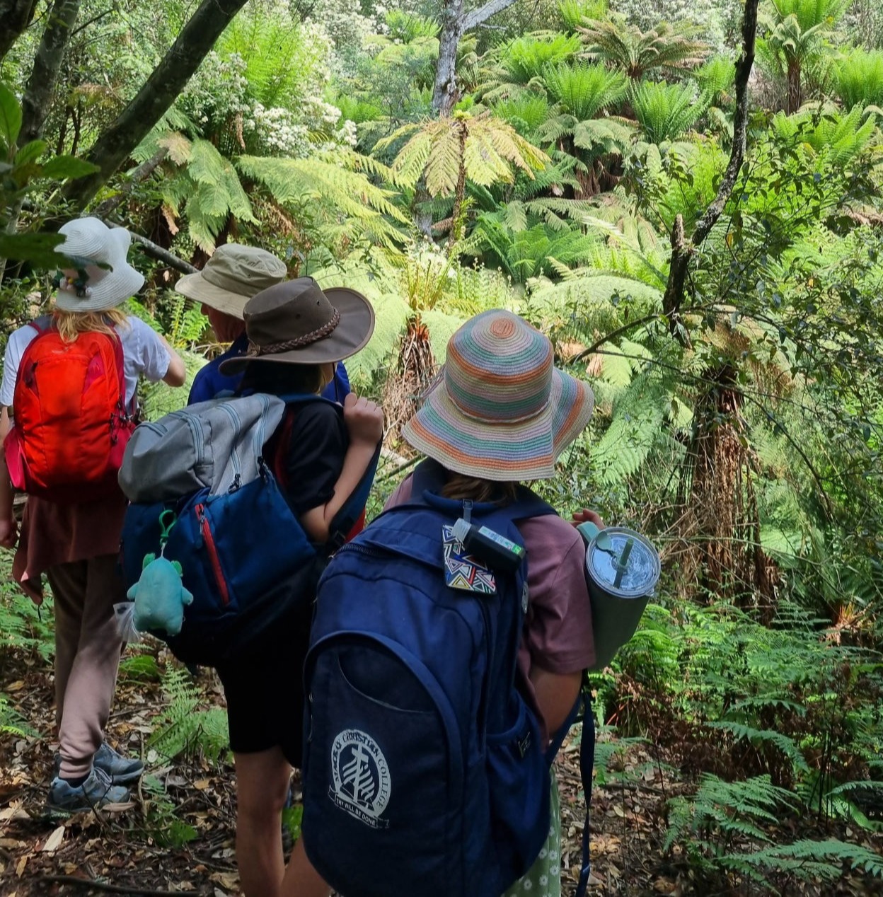 Botany excursion tamar valley steiner school