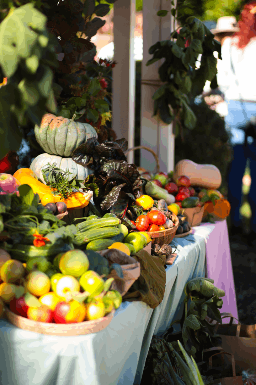 Early Childhood Autumn Festival