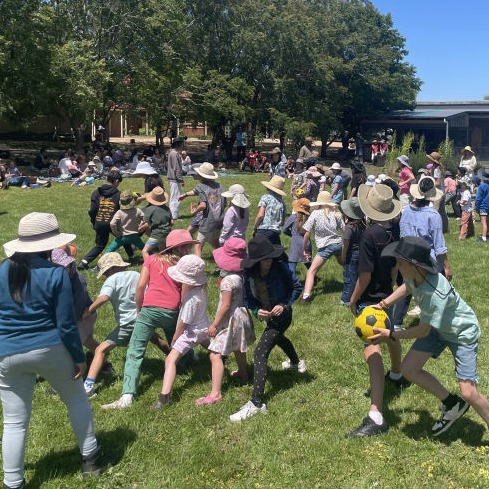 Tamar Valley Steiner Primary School